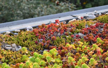 the cost of Lubinvullin green roof installation