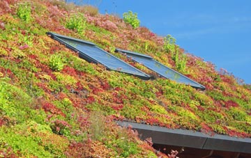 Lubinvullin living roof systems